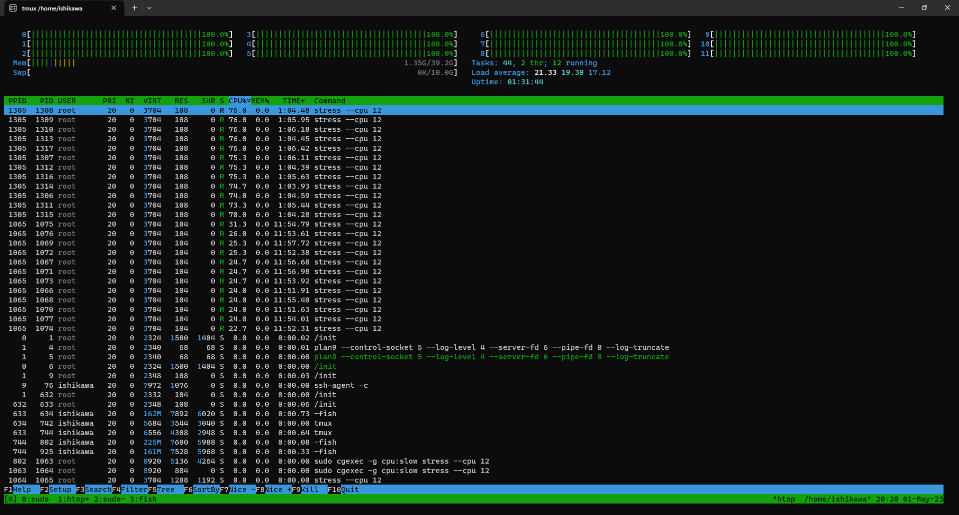 htop after 2 cgroups