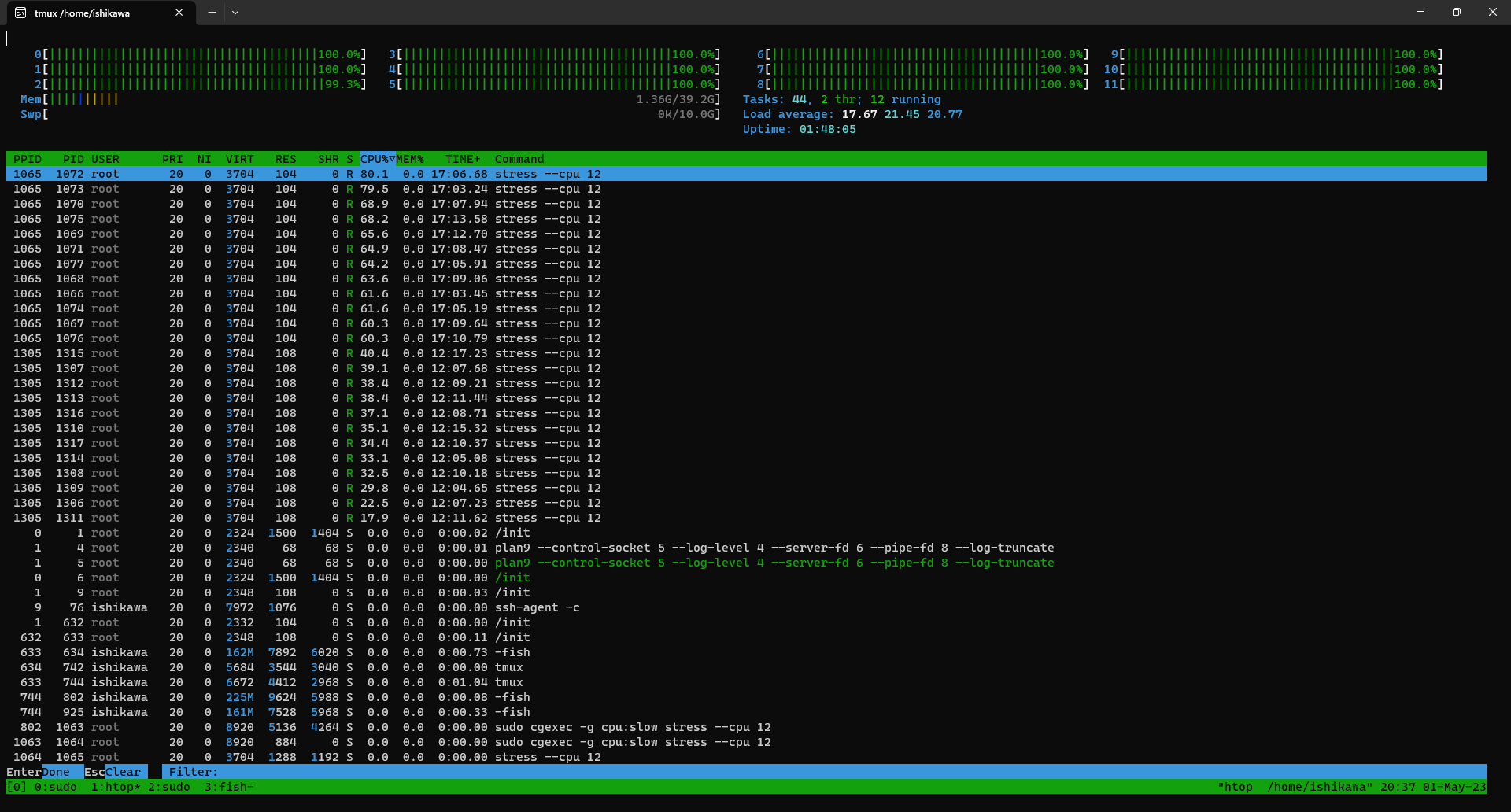 htop after setting cfs_quota_us